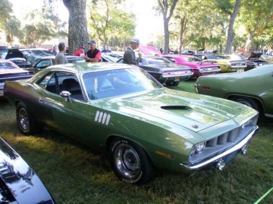 PA030031 (Small).JPG