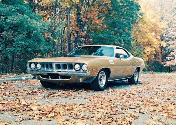 Godwin Cuda BS23H1B222437 (2).jpg