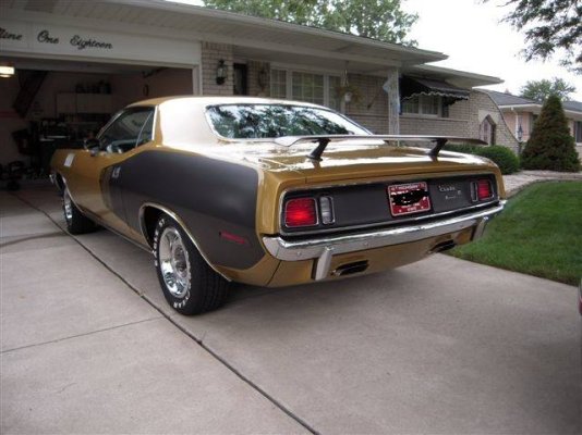 Godwin Cuda BS23H1B222437 (5).jpg