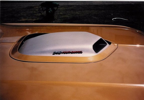 31 71 Shaker Hood.jpg