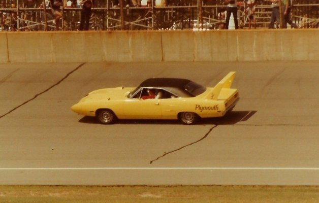 YellowSuperBird.jpg