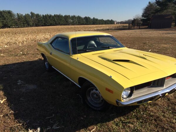 cuda 4.jpg cuda 4.jpg