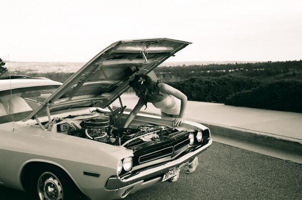 83800005.jpg 83800005.jpg