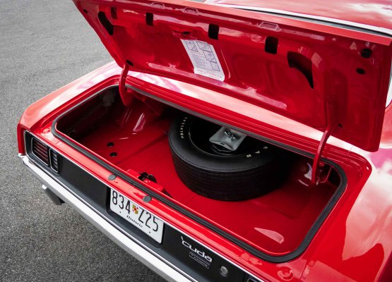 Trunk2.jpg