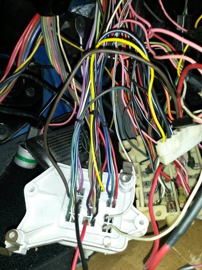 1781314802057.jpeg
