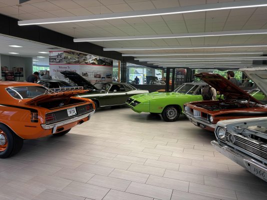 IMG_6556[1].jpg