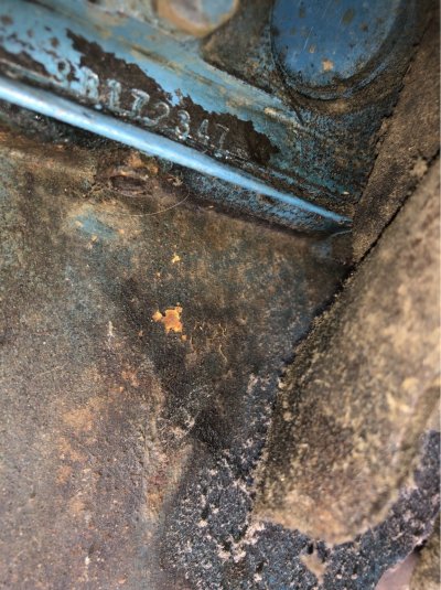IMG_9306.jpeg