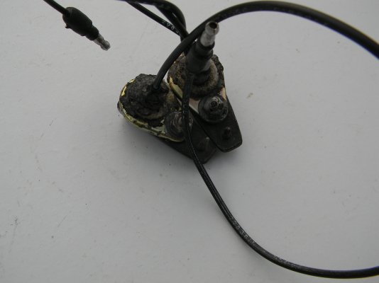 DSCN1901.JPG