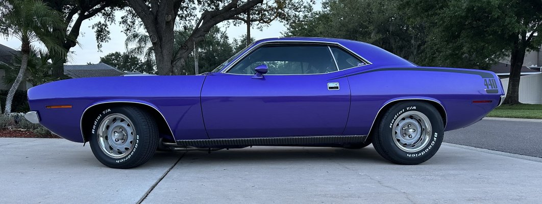 20230415 Our Cuda (1).JPG