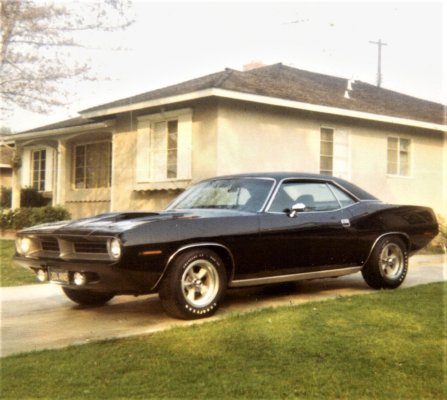 Cuda20151227_13325406 (4).jpg