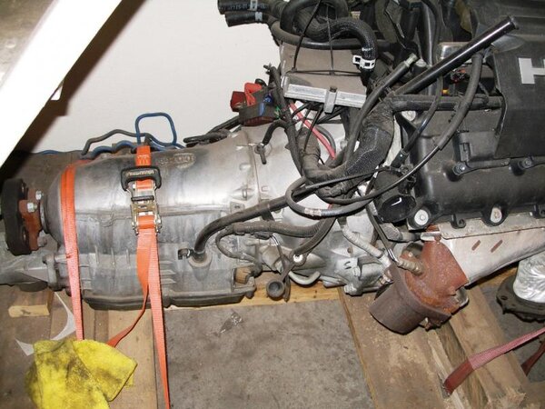 Hemi 006.jpg Hemi 006.jpg