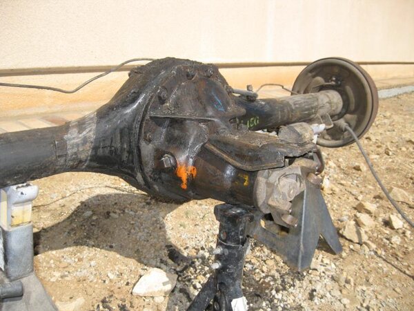 IMG_3005.jpg IMG_3005.jpg