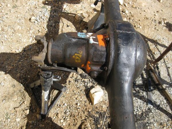 IMG_3007.jpg IMG_3007.jpg