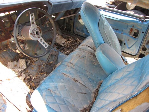 IMG_6826.jpg IMG_6826.jpg