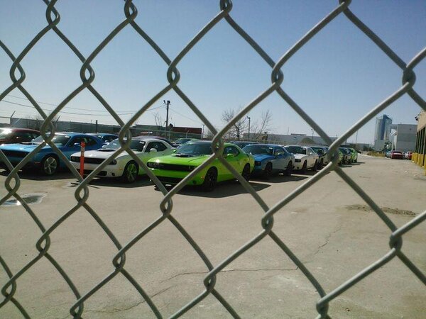 2015 Challenger Shakers