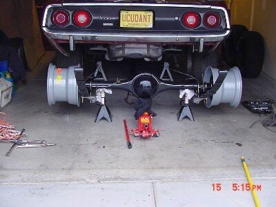 spring relocation.jpg