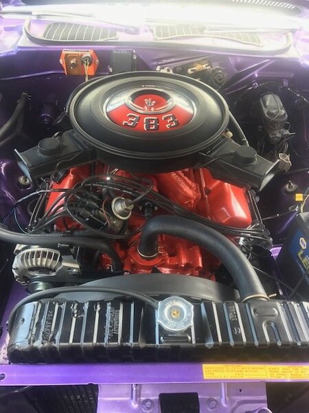 IMG_0169 383 cuda.JPG