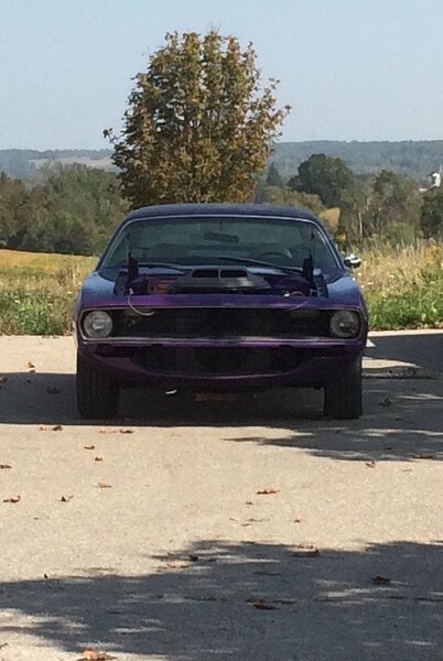 1970 'Cuda 383 Shaker agriculture background 2.jpg