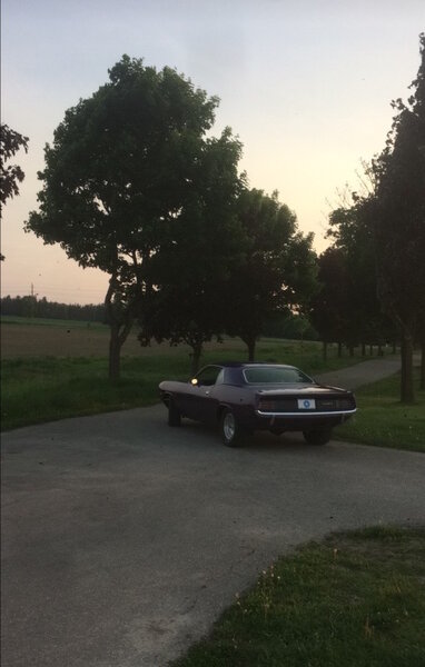 1970 'Cuda in the sundown.jpg