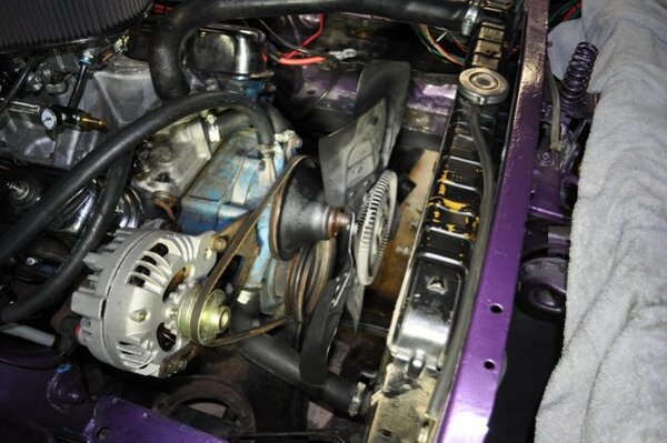 DSC_0094rsd.jpg DSC_0094rsd.jpg