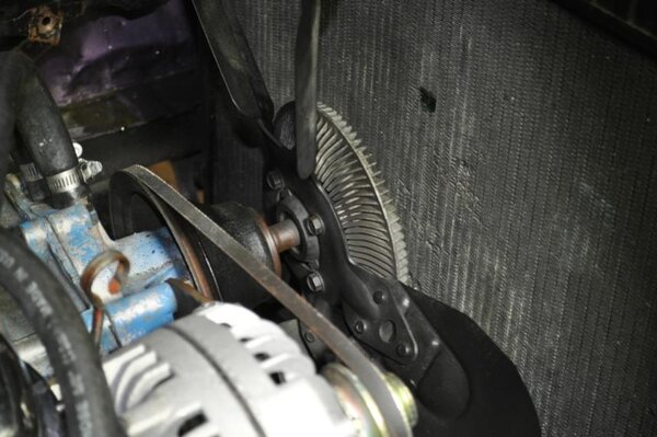 DSC_0096rsd.jpg DSC_0096rsd.jpg