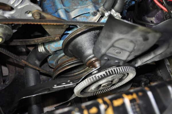 DSC_0098rsd.jpg DSC_0098rsd.jpg