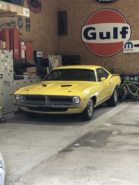 Top Banana Cuda