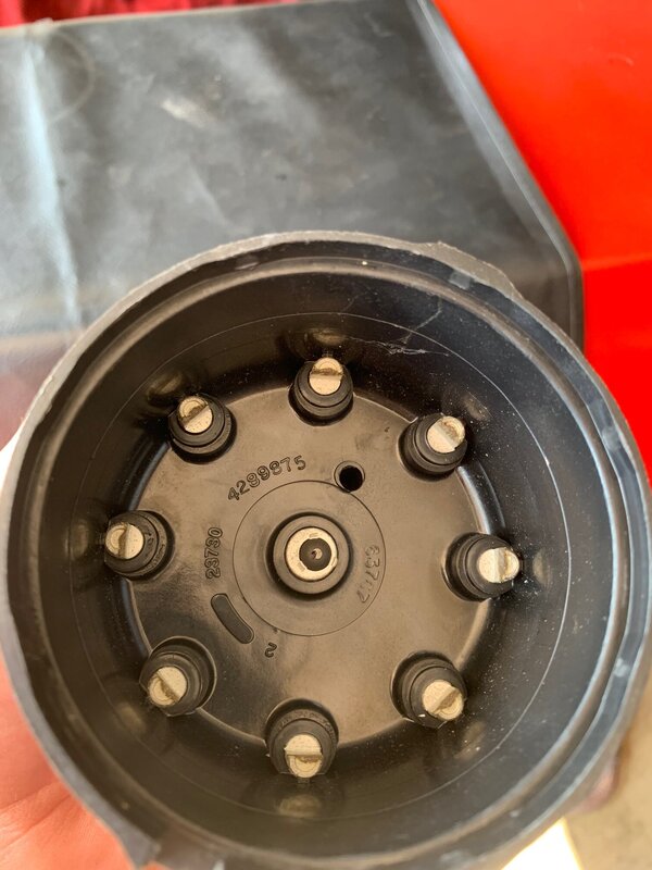 IMG_5221.jpg IMG_5221.jpg