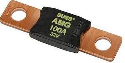 buss 100 amp.jpg