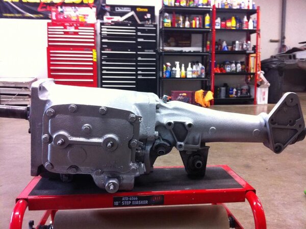 IMG_6584.jpg IMG_6584.jpg