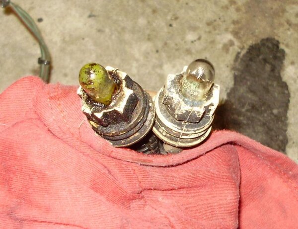 front side marker light bulbs.jpg