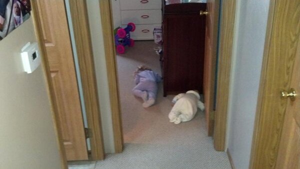 2012-11-13_07-14-50_317.jpg 2012-11-13_07-14-50_317.jpg