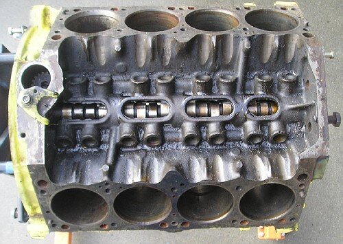 P1010009-vi.jpg P1010009-vi.jpg