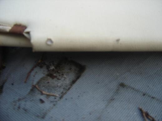 white visors 3.JPG white visors 3.JPG