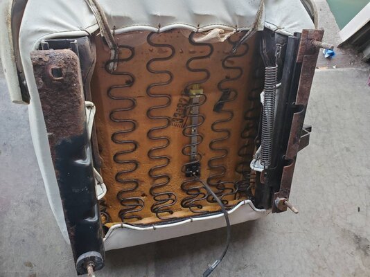 seat belt warning.jpg