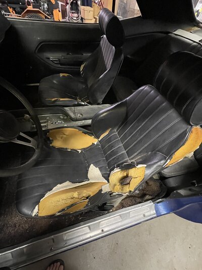 CCA83BF9-C9D5-41DB-BACB-46A81FA756BA.jpeg CCA83BF9-C9D5-41DB-BACB-46A81FA756BA.jpeg