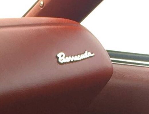 Recessed 1970 Dash Barracuda Emblem.JPG
