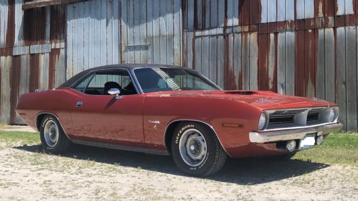 ##Barn Barracuda.PNG