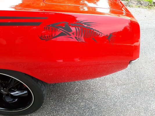 Cuda Cuda Graphic.jpg Cuda Cuda Graphic.jpg