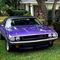 PlmCzy70