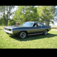 67Goldie