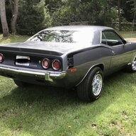 ‘cuda pup