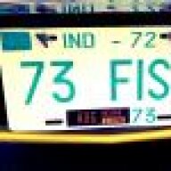 73fish
