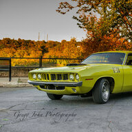 curious cuda