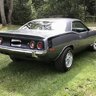 ‘cuda pup
