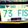 73fish