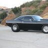 70blackfish