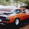 Orangedog70