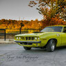 curious cuda