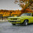 curious cuda